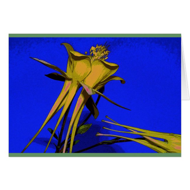 Fotografera av gult columbine hälsningskort (Framsidan Horizontal)