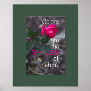 Fotograferar den böjande rosa ros för singeln poster