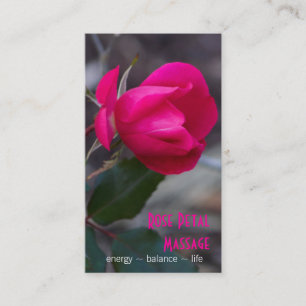 Fotograferar den böjande rosa ros för singeln tidsbeställning kort