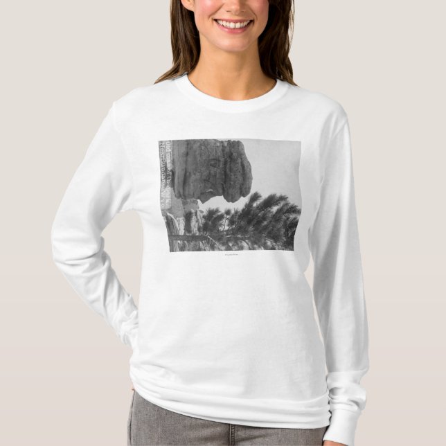 "Fotograferar gamal man" av parkera nära Sundance Tee Shirt (Framsida)