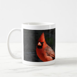 Fotografering av röd kardinalfågel kaffemugg