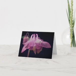 Fotografering av rosa akvila blommor anteckningskort