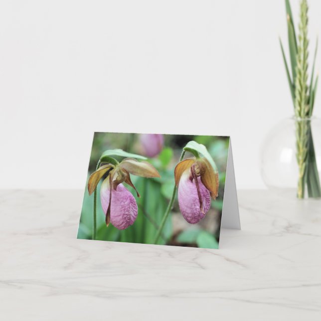 Fotografering av rosa damorkidéer anteckningskort (Framsida)