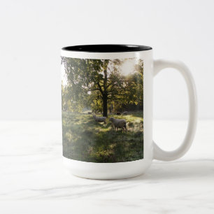 Fotograferingsfår Två-Tonad Mugg