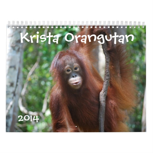 Fotografi 2014 för Krista Orangutandjurliv Kalender (Omslag)