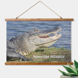 Fotografi av Alligator Wildlife Nature Closeup