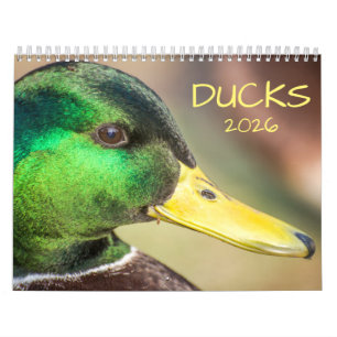 Fotografi av Ankor 2021 Kalender