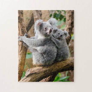 Fotografi av björn Mor och Baby djur Koala Pussel