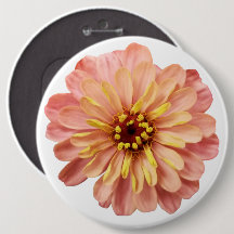 Fotografi av Blommigten Zinnia-blomman