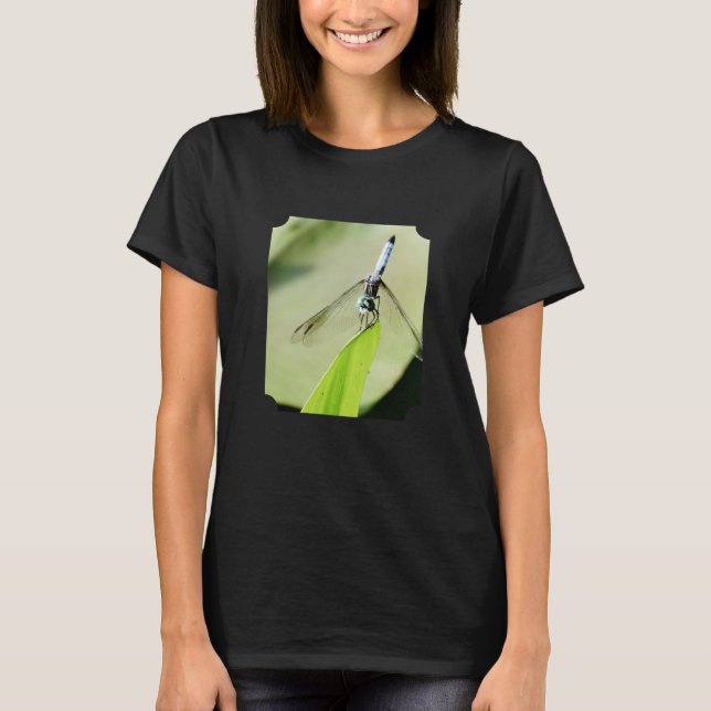 Fotografi av Blue Dragonfly grönt löv Nature Fotog T Shirt (Framsida)