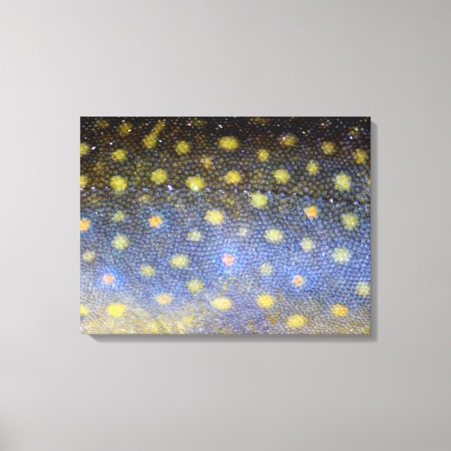 Fotografi av Brook Trout Scales Canvastryck (Framsida)