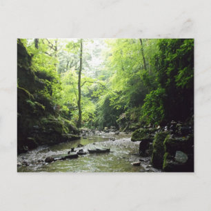 Fotografi av Cornwall St Nectans Glen Vykort