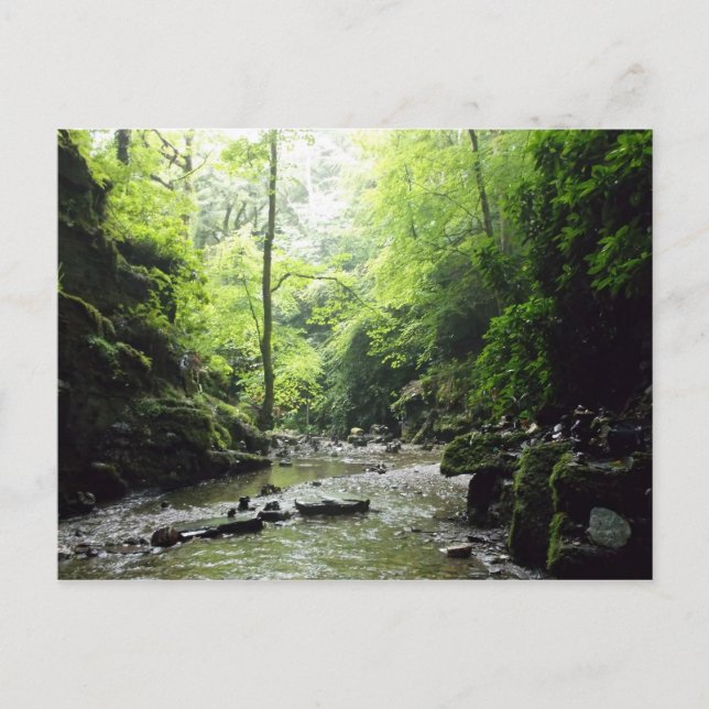 Fotografi av Cornwall St Nectans Glen Vykort (Framsida)