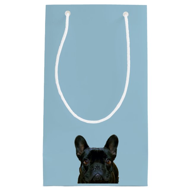 Fotografi av Cute Black Fransk Bulldog Frenchie: (Framsidan)