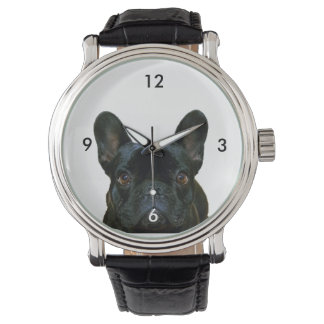 Fotografi av Cute Black Fransk Bulldog Frenchie: Armbandsur