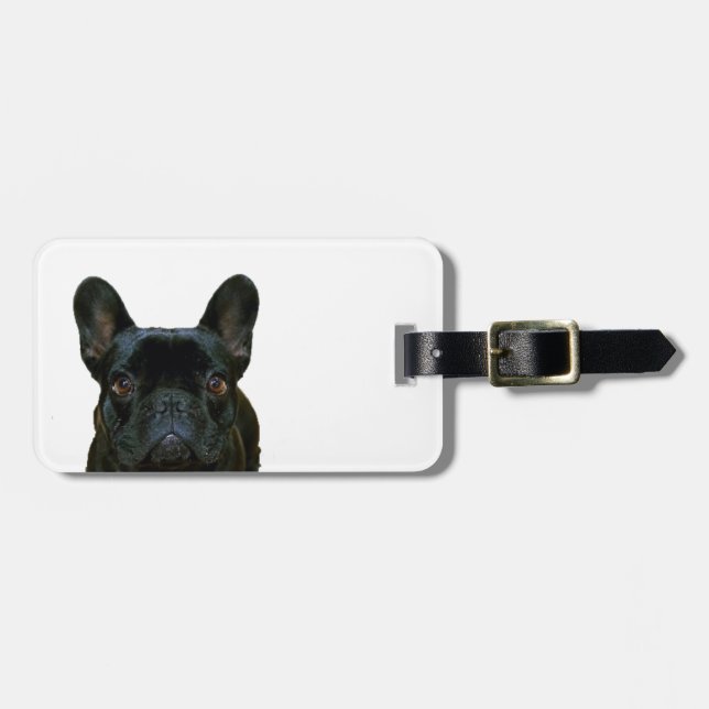 Fotografi av Cute Black Fransk Bulldog Frenchie: Bagagebricka (Horisontell Framsida)
