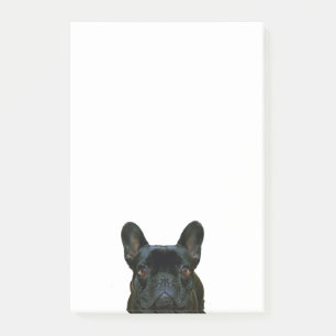 Fotografi av Cute Black Fransk Bulldog Frenchie: Post-it Block