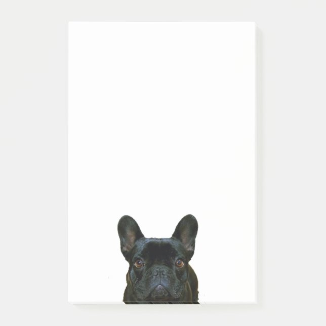 Fotografi av Cute Black Fransk Bulldog Frenchie: Post-it Block (Framsida)