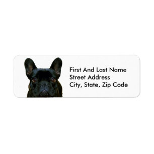 Fotografi av Cute Black Fransk Bulldog Frenchie: Returadress Etikett