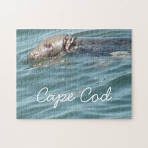Fotografi av Cute Cape Cod Seal Pussel
