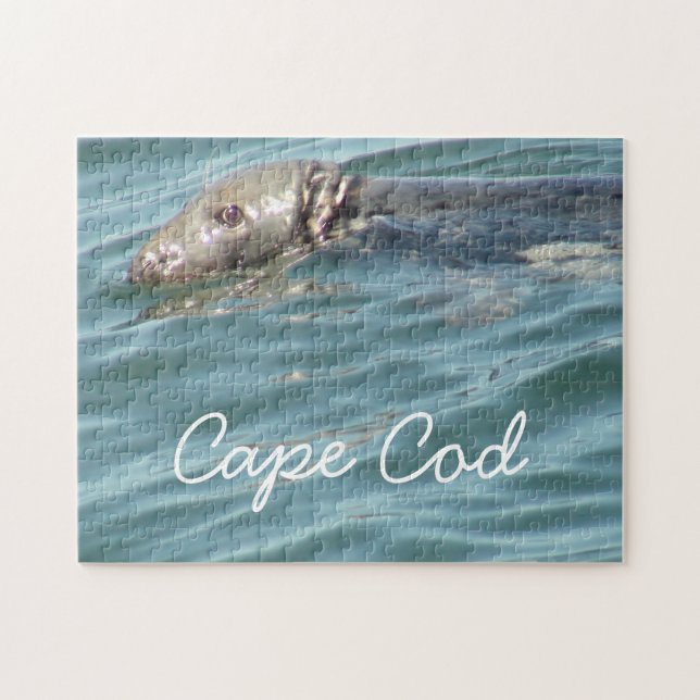 Fotografi av Cute Cape Cod Seal Pussel (Horisontell)