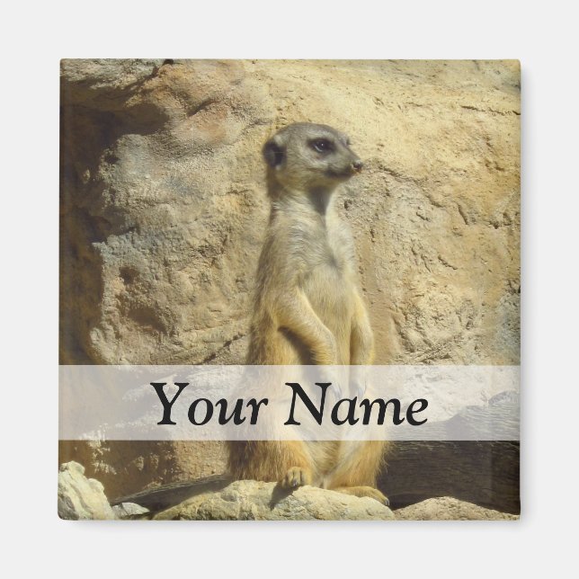Fotografi av Cute meerkat Magnet (Framsidan)