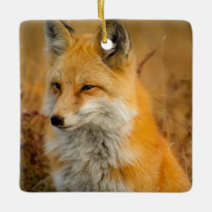 Fotografi av Cute Red Fox Wilderness Nature Julgransprydnad Keramik