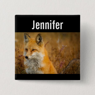 Fotografi av Cute Red Fox Wilderness Nature Knapp