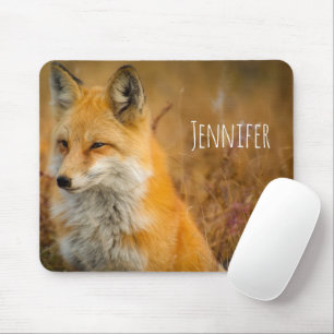 Fotografi av Cute Red Fox Wilderness Nature Musmatta