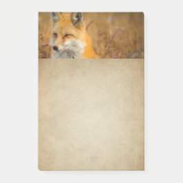 Fotografi av Cute Red Fox Wilderness Nature Post-it Block