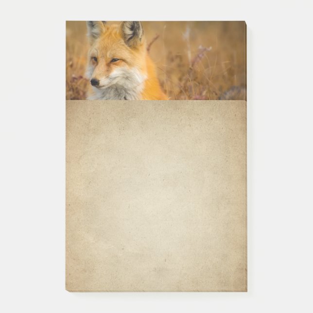 Fotografi av Cute Red Fox Wilderness Nature Post-it Block (Framsida)