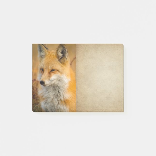Fotografi av Cute Red Fox Wilderness Nature Post-it Block (Framsida)