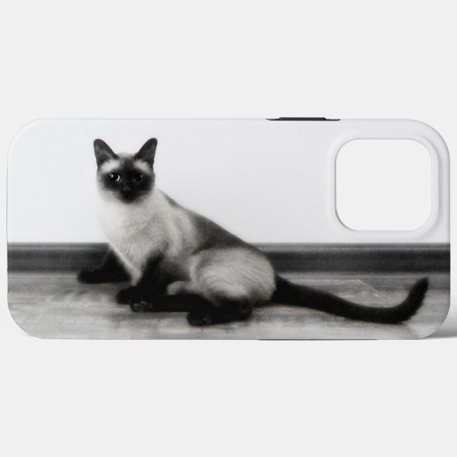 Fotografi av CUTE Siamese Cat Porträtt (Baksida (horisontell))
