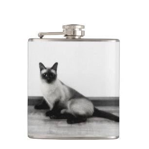 Fotografi av CUTE Siamese Cat Porträtt Fickplunta