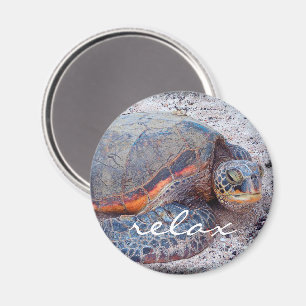 Fotografi av den tropiska havssköldpaddan Hawaii h Magnet