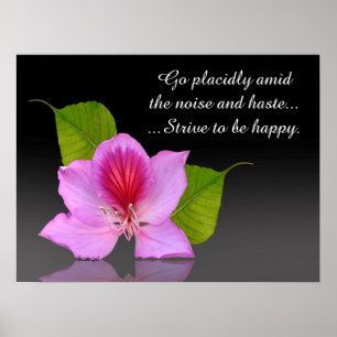 Fotografi av Desiderata orchid-konst - inspiration Poster