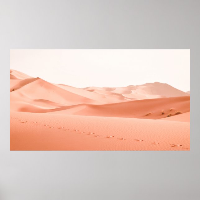 FOTOGRAFI AV DESSERTS LANDSCAPE POSTER (Framsidan)