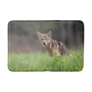Fotografi av djur, brun koyote badrumsmatta