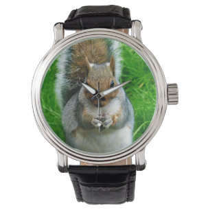 Fotografi av en Cute Squirrel i en trädgård Armbandsur