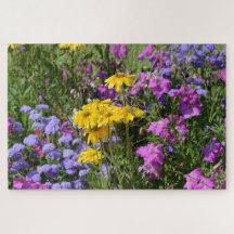 Fotografi av en massa vackra blommor av färgad