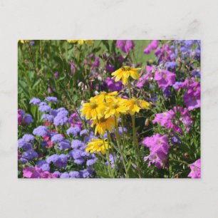 Fotografi av en massa vackra blommor av färgad vykort