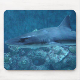 Fotografi av en Shark Mouse Pad Musmatta