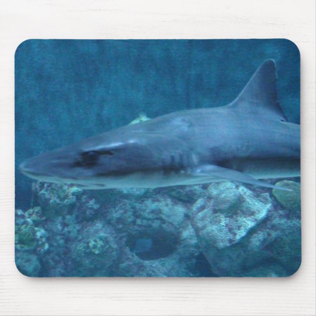Fotografi av en Shark Mouse Pad Musmatta (Framsidan)