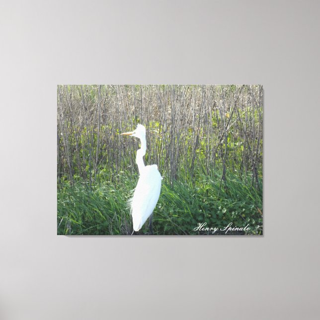 Fotografi av en vild Egret på arbetsyta. Canvastryck (Framsida)