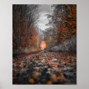 Fotografi av Fall Träd Poster
