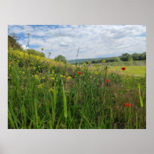 Fotografi av flodsidan vår