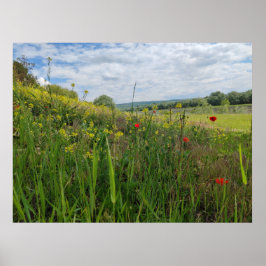 Fotografi av flodsidan vår poster