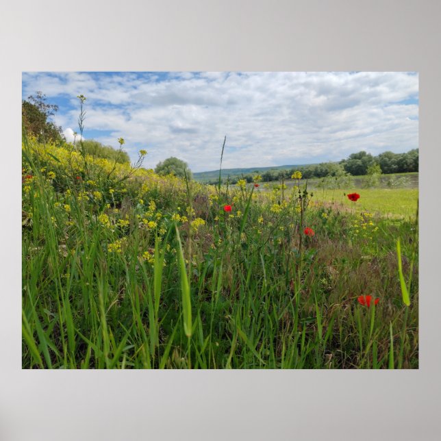 Fotografi av flodsidan vår poster (Framsidan)