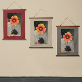 Fotografi av Gaillardia Flower och Shadow Blommigt
