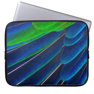 Fotografi av grönt och blå fjädrar laptop fodral